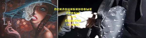 герыч Бугульма