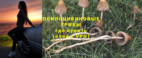 каннабис Бородино