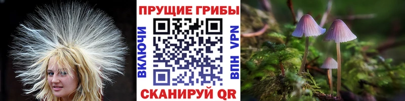 цены   Сызрань  сайты даркнета Telegram  Галлюциногенные грибы ЛСД 
